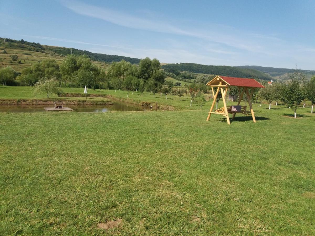 Kacso Apartma Ocna de Sus Exterior foto